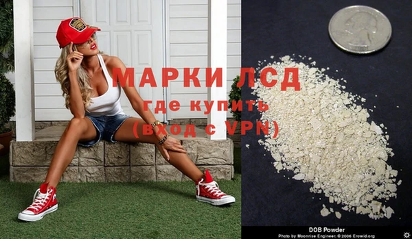 ПСИЛОЦИБИНОВЫЕ ГРИБЫ Алексин