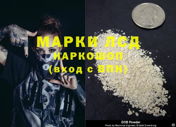 ПСИЛОЦИБИНОВЫЕ ГРИБЫ Алексин