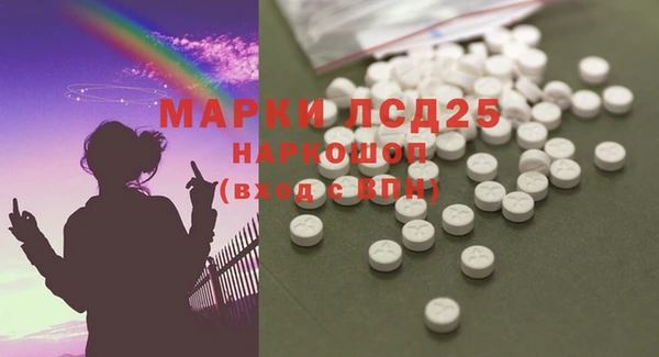 ПСИЛОЦИБИНОВЫЕ ГРИБЫ Алексин