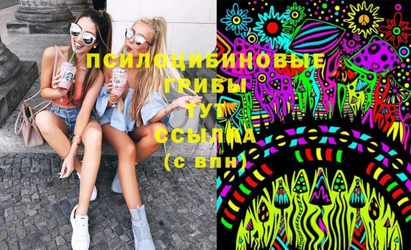 spice Алексеевка