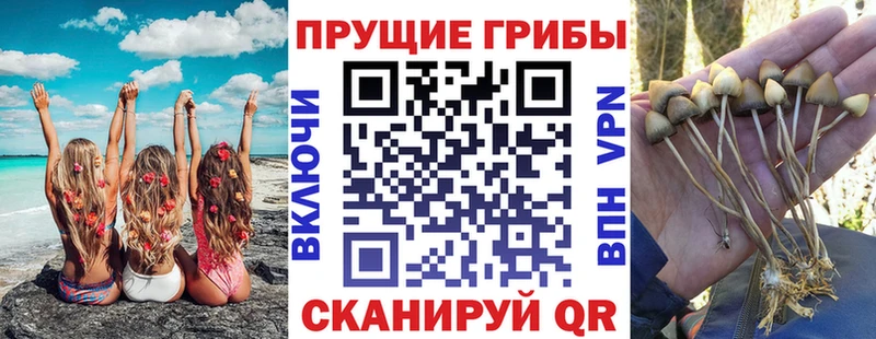 KRAKEN ONION  Белебей  Псилоцибиновые грибы GOLDEN TEACHER  где купить наркоту 