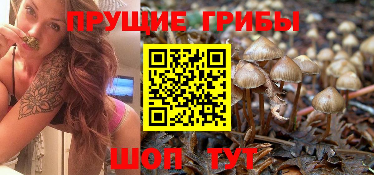 Галлюциногенные грибы прущие грибы  цены наркотик  Вход с VPN  Белебей  Псилоцибиновые грибы GOLDEN TEACHER 