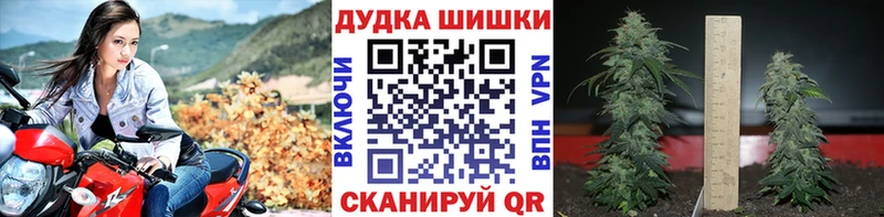 Конопля OG Kush  Белебей 